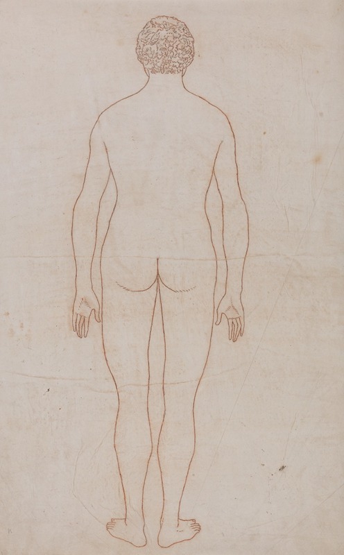 Human Body, Posterior View by George Stubbs — digital art print download