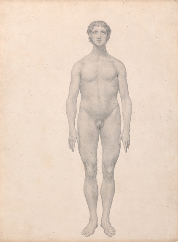 Human Figure, Anterior View, Undissected by Джордж Стуббс — digital art print download