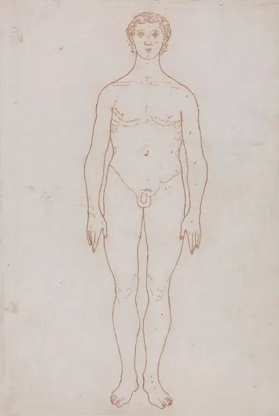 Study of the Human Figure, Anterior View by George Stubbs — digital art print download
