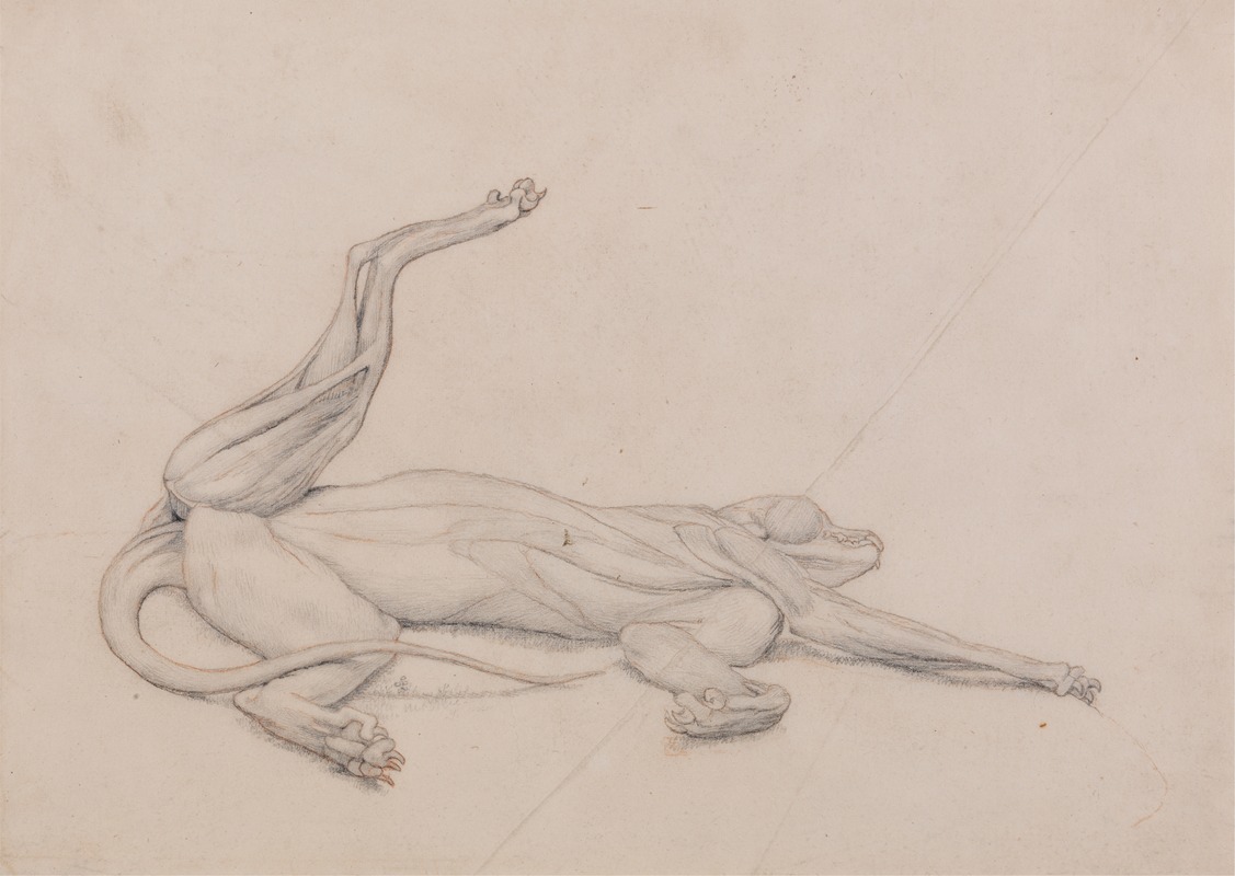 Tiger, Recumbent, Viewed Ventrally by Джордж Стуббс — digital art print download