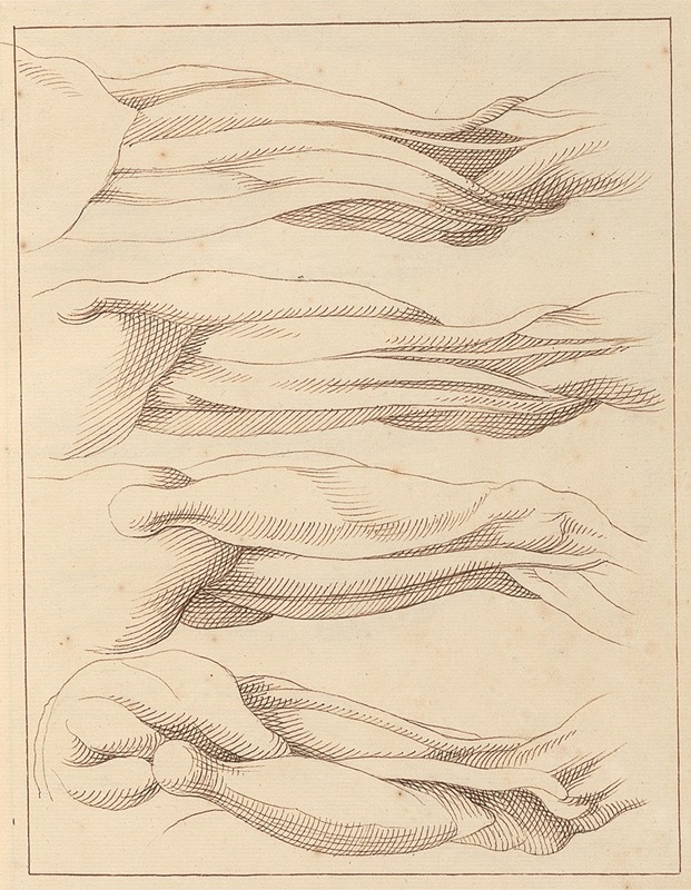 Anatomical Studies of Legs. — Hamlet Winstanley