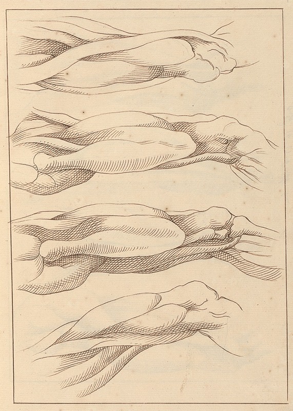 Anatomical Studies of Legs. — Hamlet Winstanley