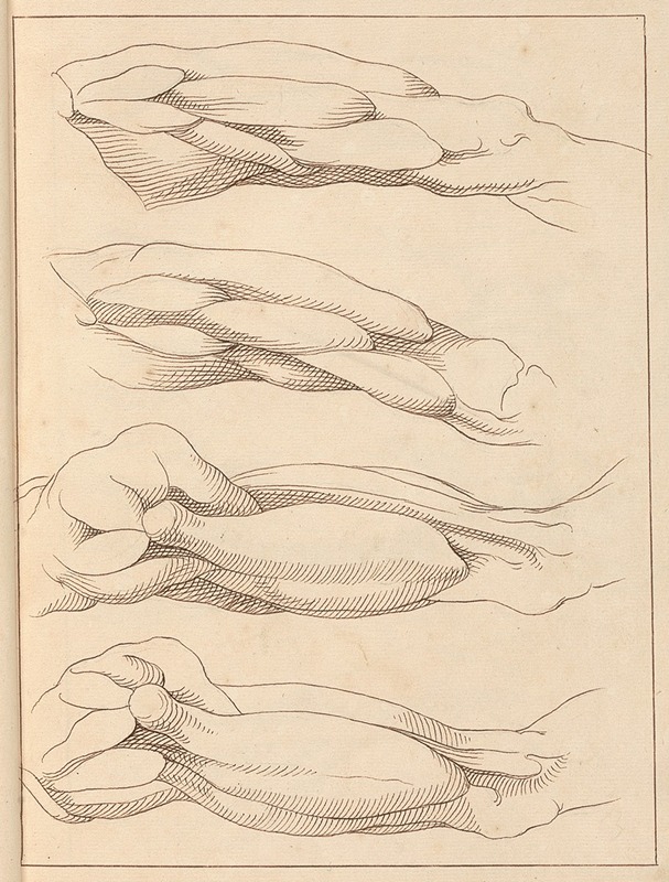 Anatomical Studies of Legs — Hamlet Winstanley