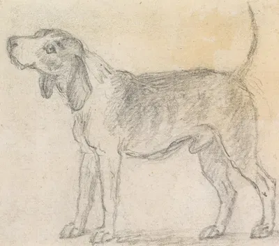 A Hound Facing Left by Джеймс Сеймур — digital art print download