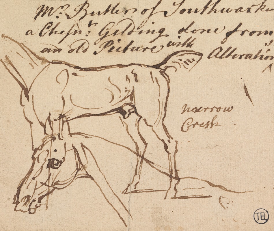 Sketches of a Gelding — James Seymour