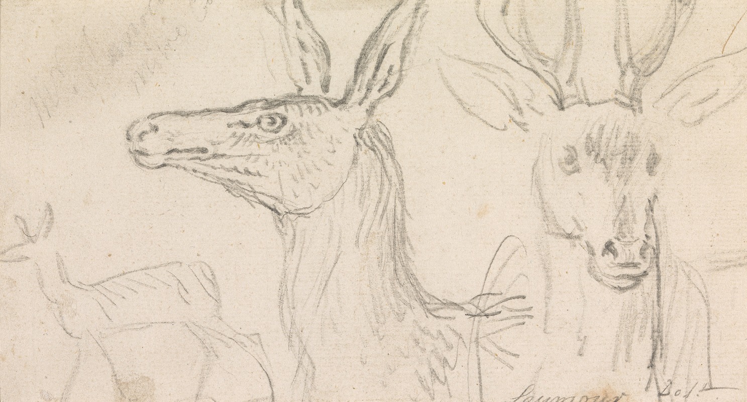 Studies of Stags' Heads by Джеймс Сеймур — digital art print download