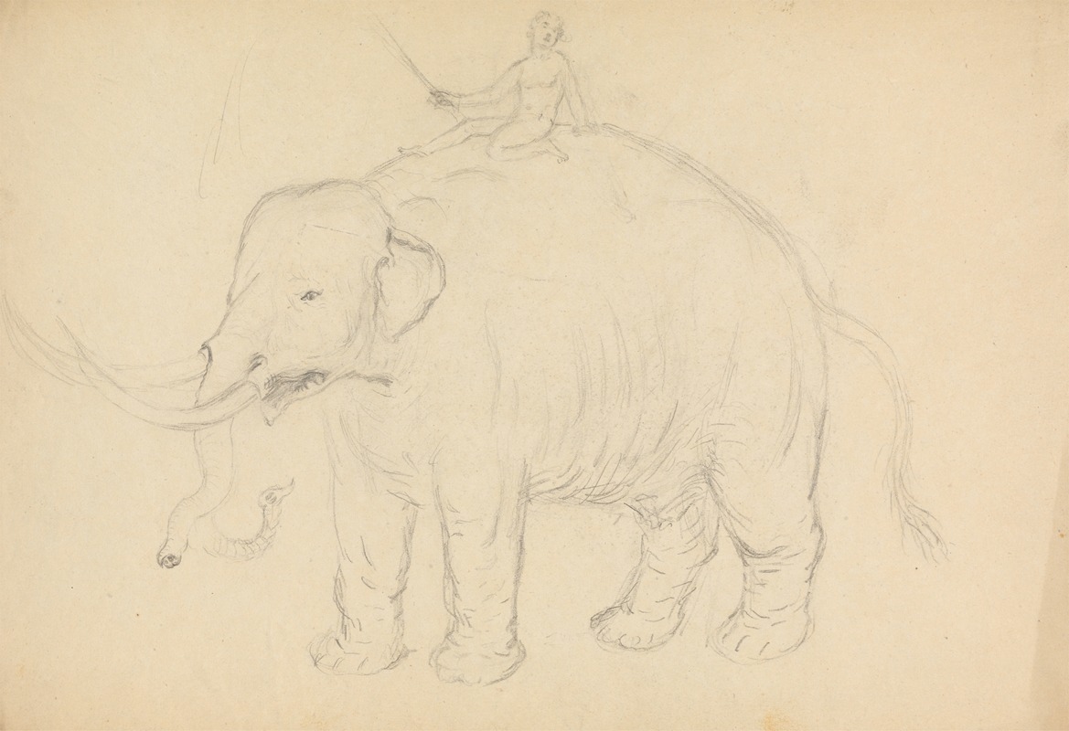 Elephant with Rider by James Sowerby — digital art print download