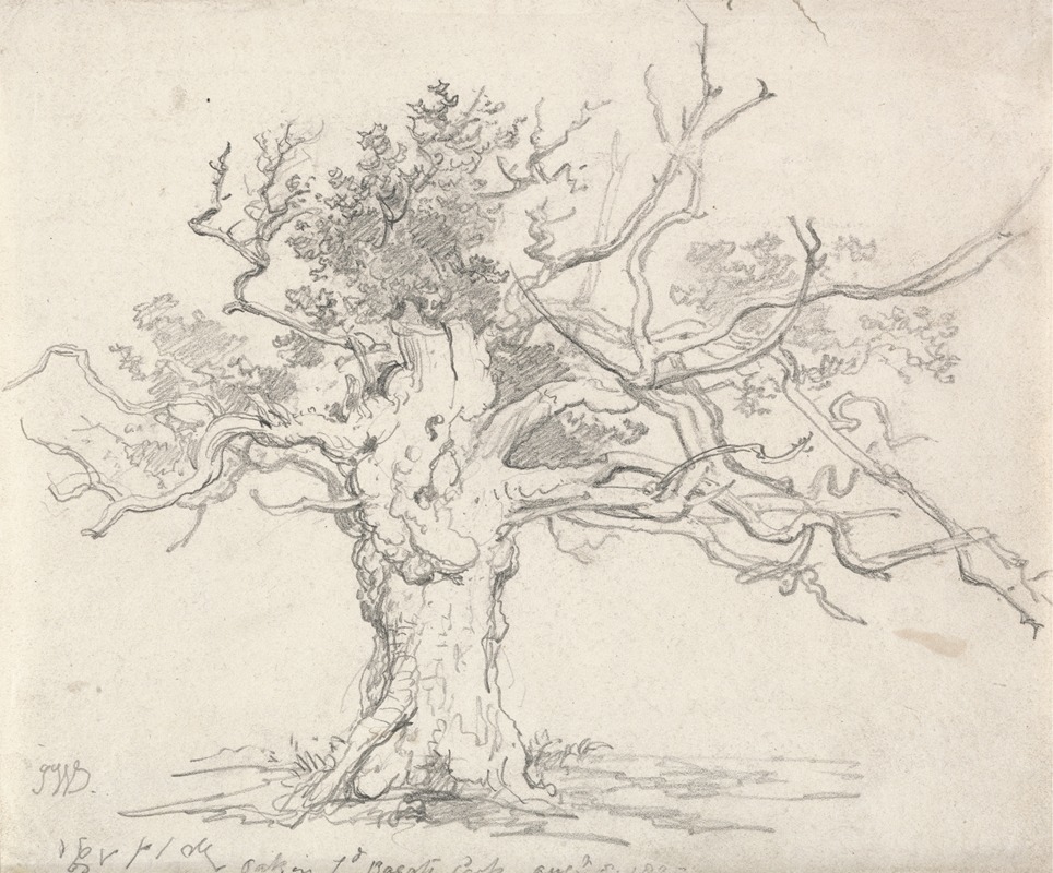 A Stunted Oak by Джеймс Уорд, 1822 — digital art print download