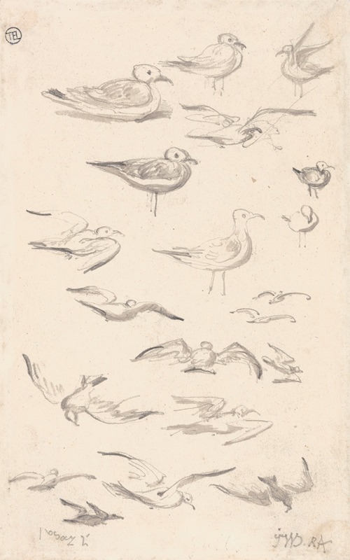 Studies of Gulls by Джеймс Уорд — digital art print download
