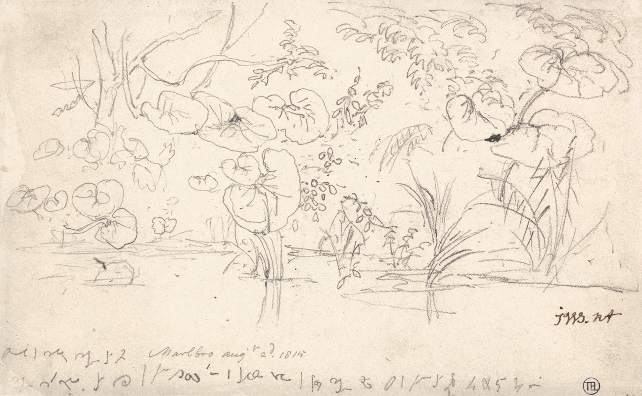 Studies of Plants, August 2, 1815 by Джеймс Уорд, 1815 — digital art print download