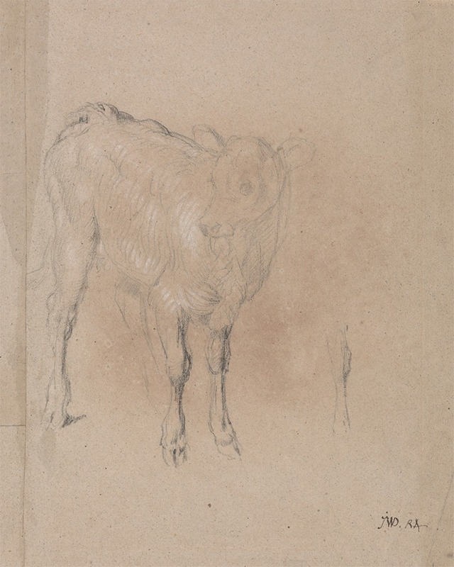 Study of a Calf by Джеймс Уорд — digital art print download