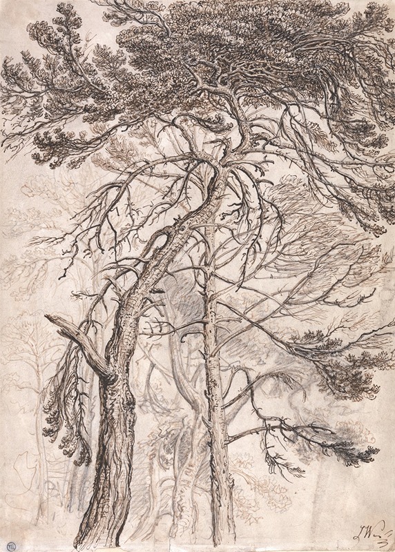 Study of Trees by James Ward — digital art print download