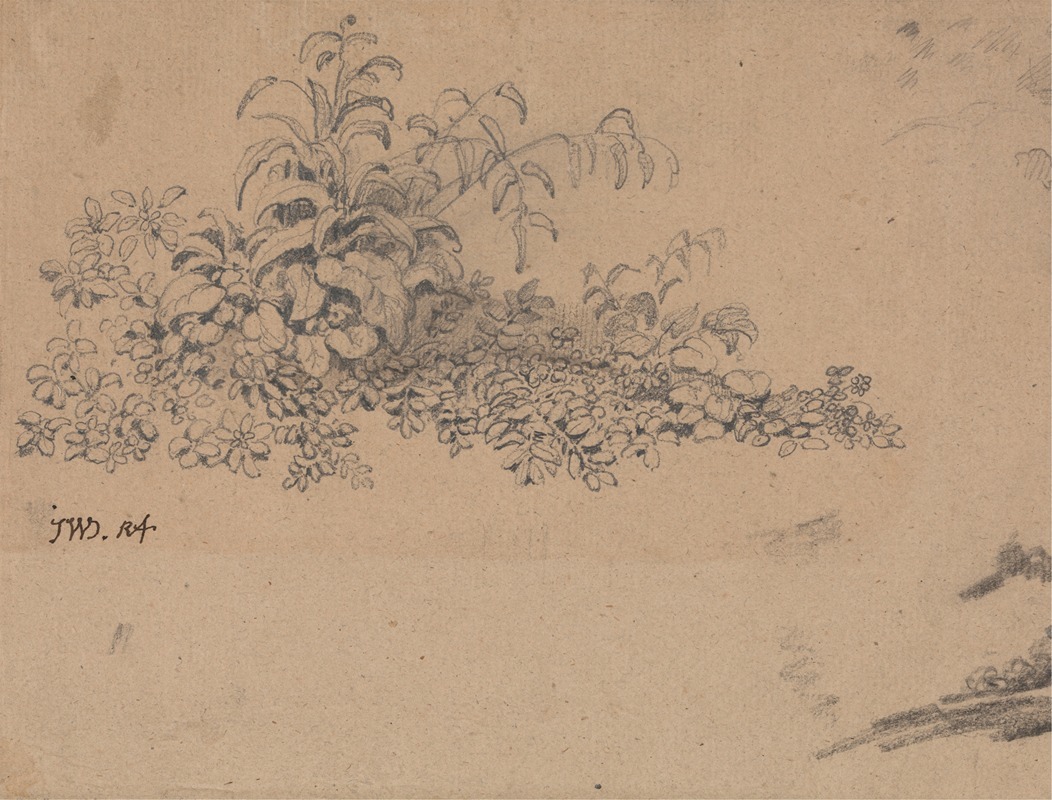 Study of Undergrowth by Джеймс Уорд — digital art print download