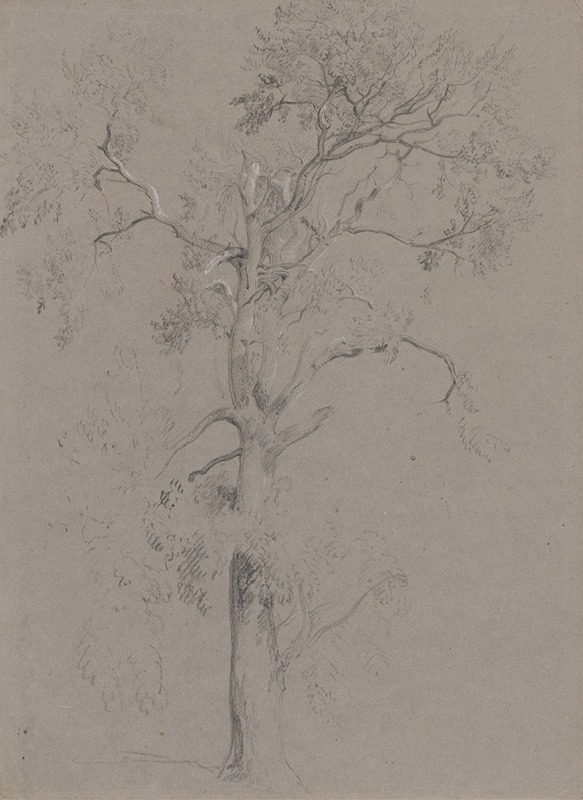 Ash Tree in Ashstead Park by Питер ДеВинт — digital art print download