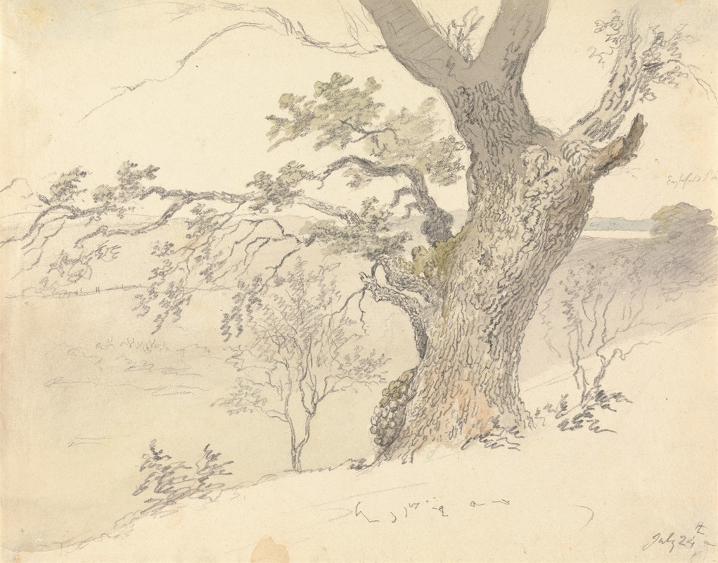 An Oak in Englefield Park by Роберт Хиллс — digital art print download