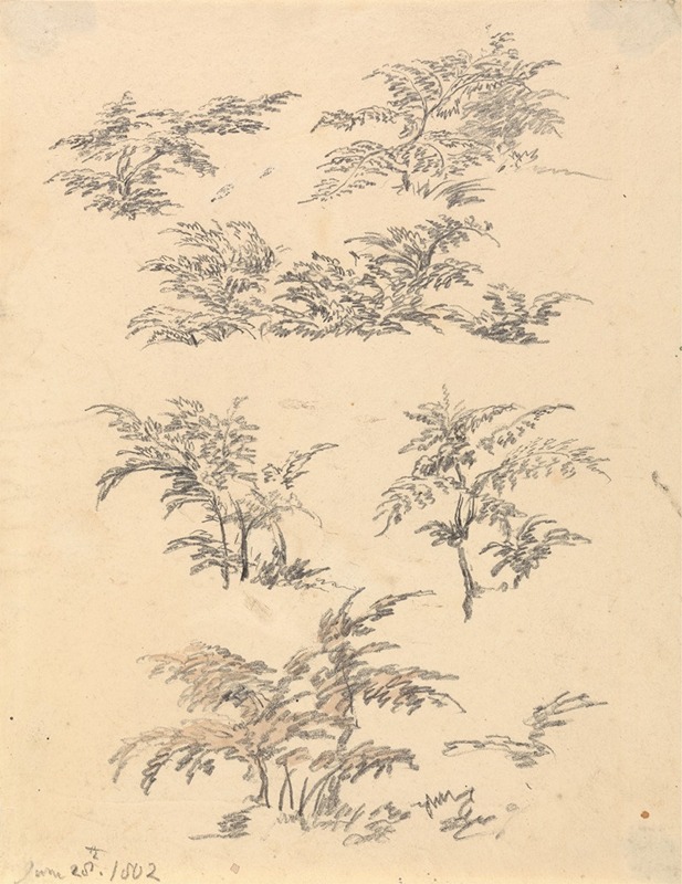 Study of Bracken by Роберт Хиллс, 1802 — digital art print download