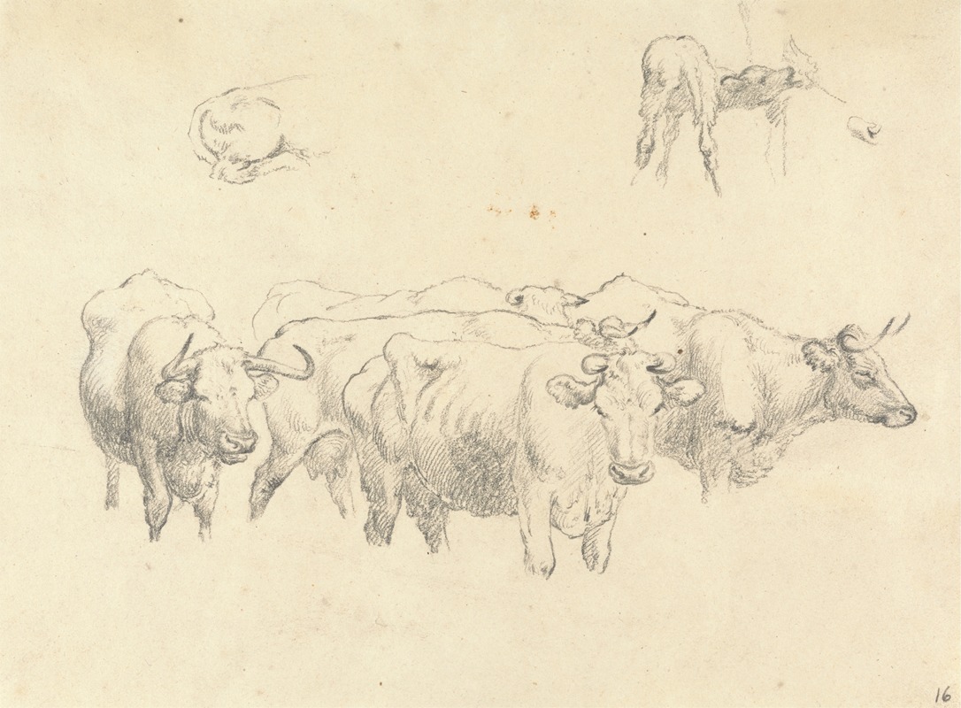 Study of Cows with Calf by Роберт Хиллс — digital art print download