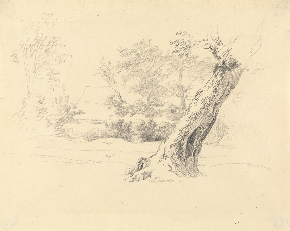 Tree Study by Роберт Хиллс — digital art print download