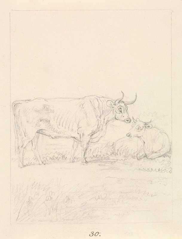 Bull and Cow by Самуэль Ховитт — digital art print download