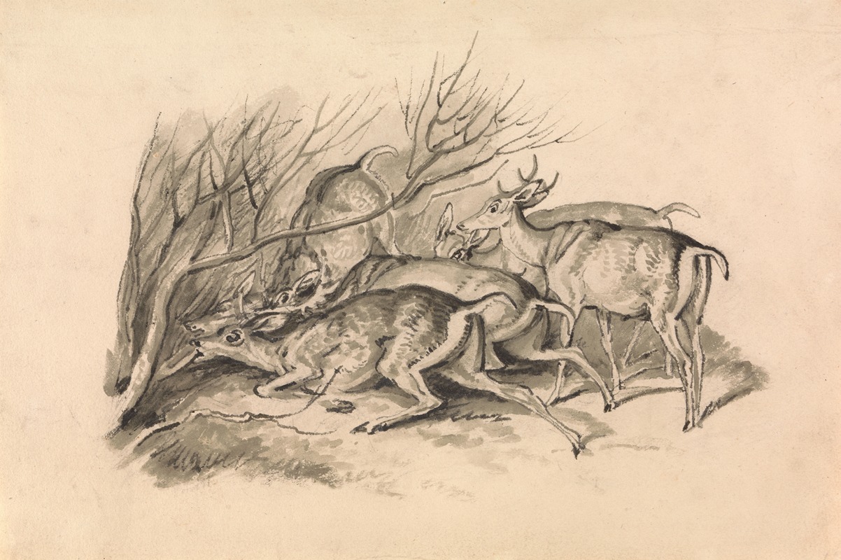 Deer Before a Thicket by Самуэль Ховитт — digital art print download