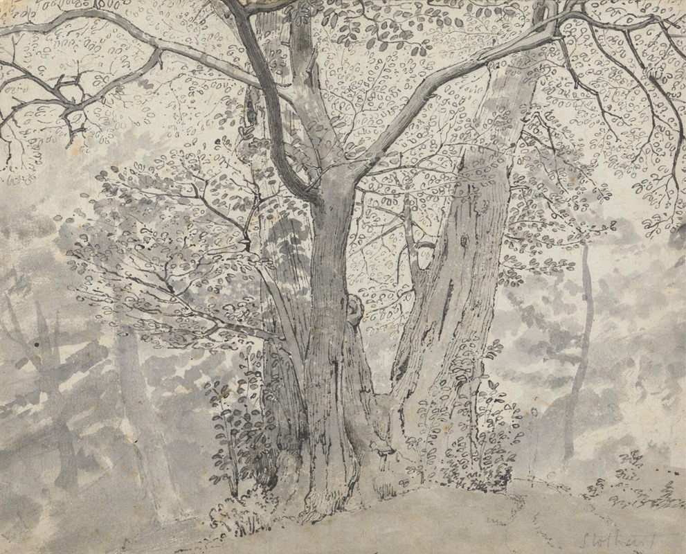 Tree Study by Thomas Stothard — digital art print download