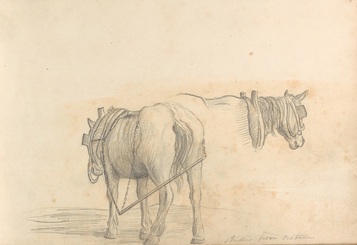 Studies from Nature by William Brockedon — digital art print download