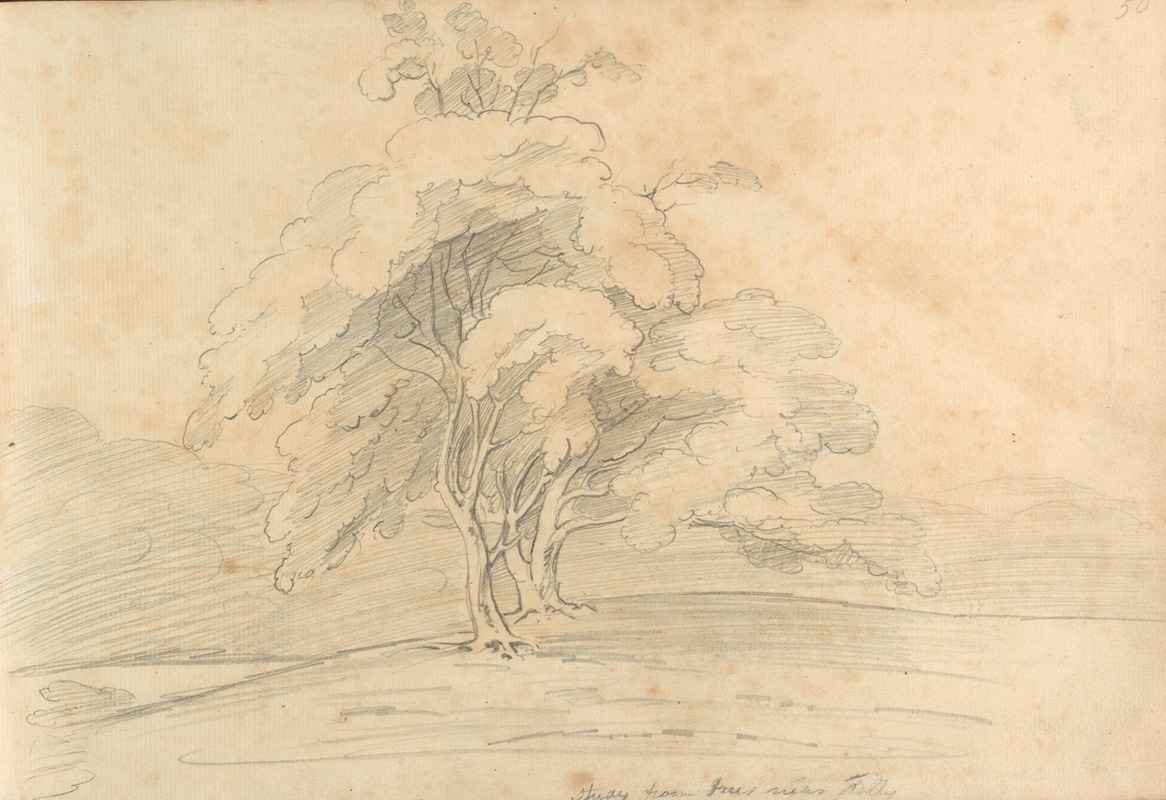 Study from trees near Folly by William Brockedon — digital art print download