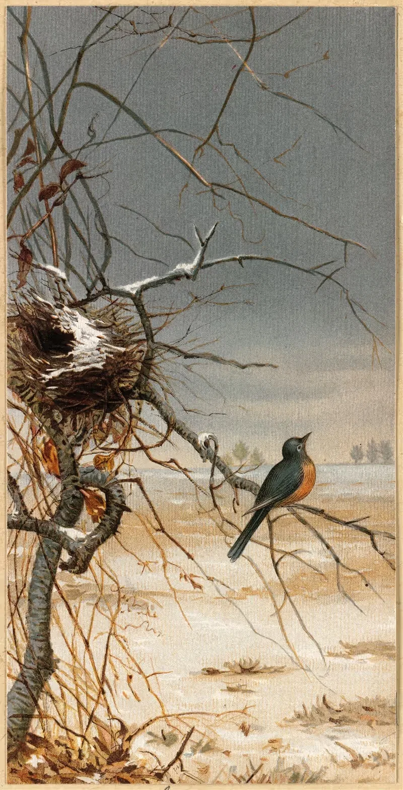 На холоде (декабрь) by Фиделия Бриджес, 1877 — digital art print download