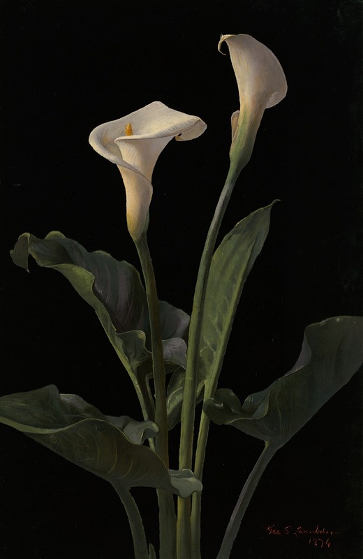 Calla Lilies by Джордж Кокран Ламбдин, 1878 — digital art print download