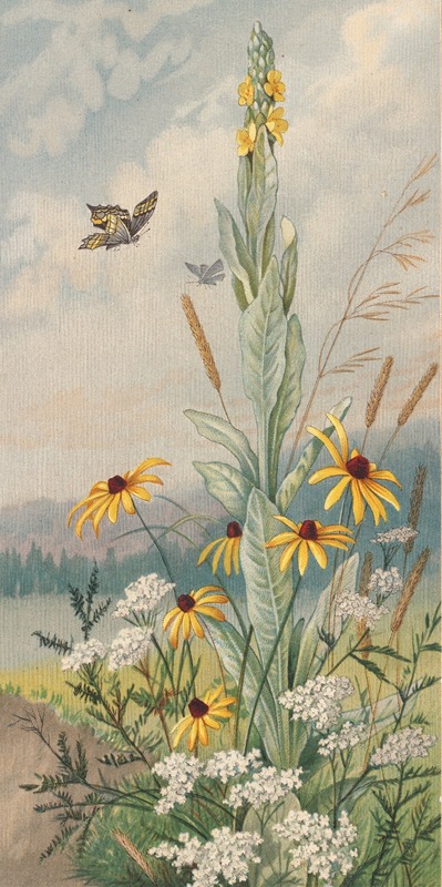 Flowers of the Meadow — Louis Prang & Co.