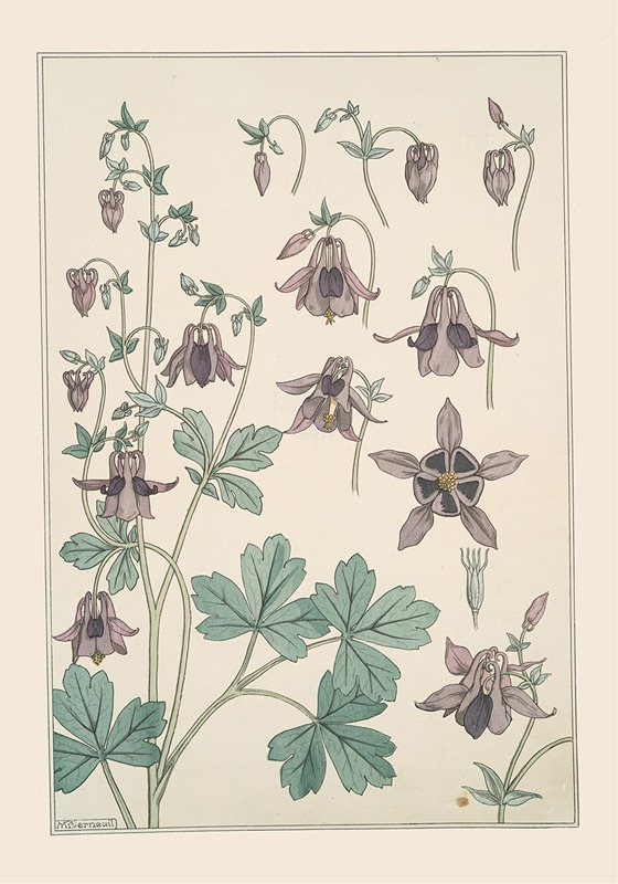 Ancolie by Морис Пиллар Вернёй, 1896 — digital art print download
