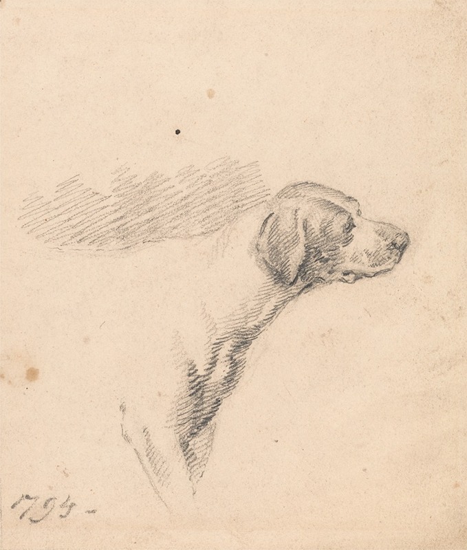 Study of a Hound; Head and Shoulders, Facing Right — Джордж Морланд