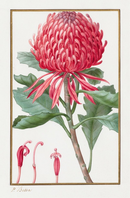 Untitled by Pancrace Bessa, 1828-1835 — digital art print download