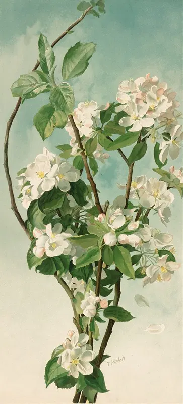 Apple Blossoms by Таддеус Уэлч, 1886 — digital art print download