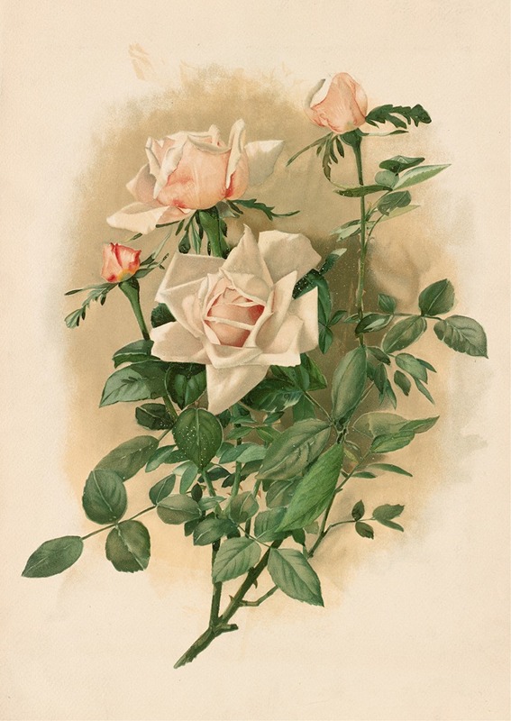 Duchesse de Vallombrosa Roses — Таддеус Уэлч