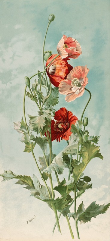 Poppies by Таддеус Уэлч, 1886 — digital art print download