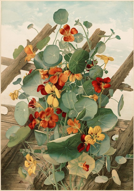 The Nasturtiums, No. 2 by Таддеус Уэлч, 1861-1897 — digital art print download