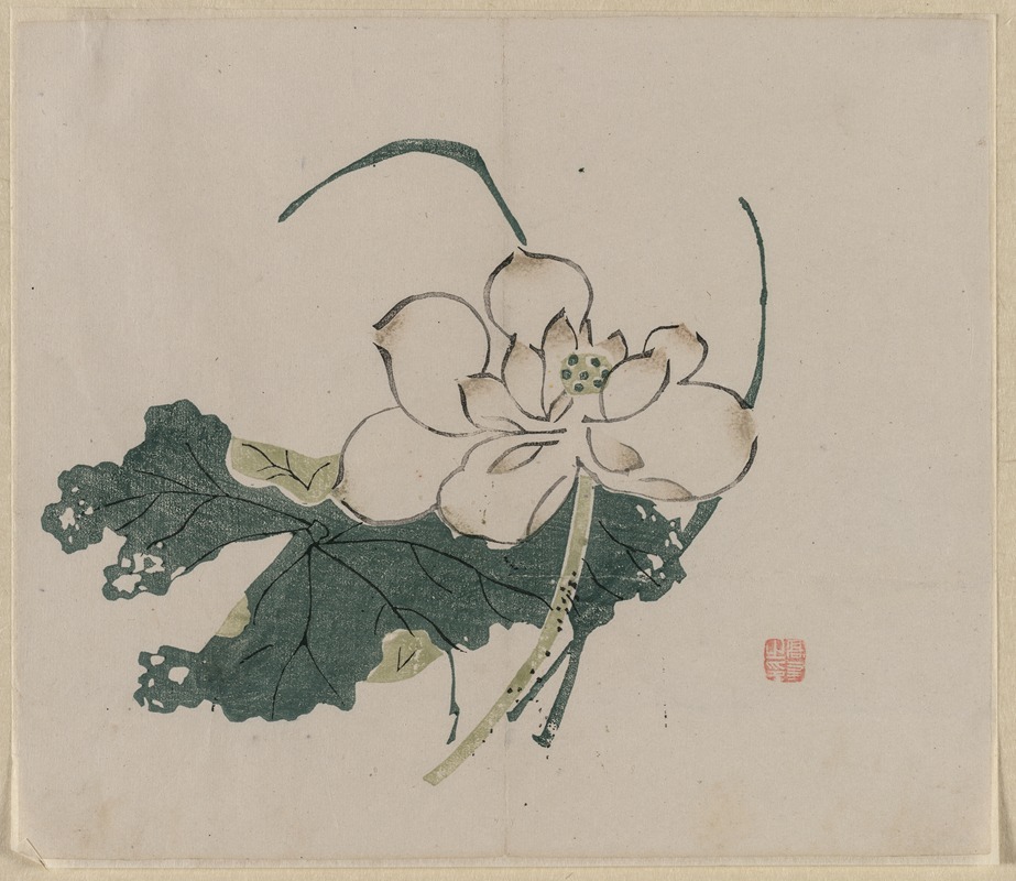 Lotus Blossom by Anonymous, 1368-1644 — digital art print download