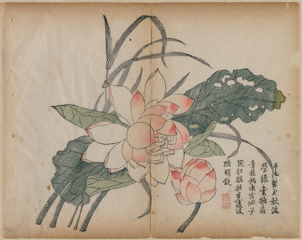 Flowering Lotus and Bud by Аноним — digital art print download