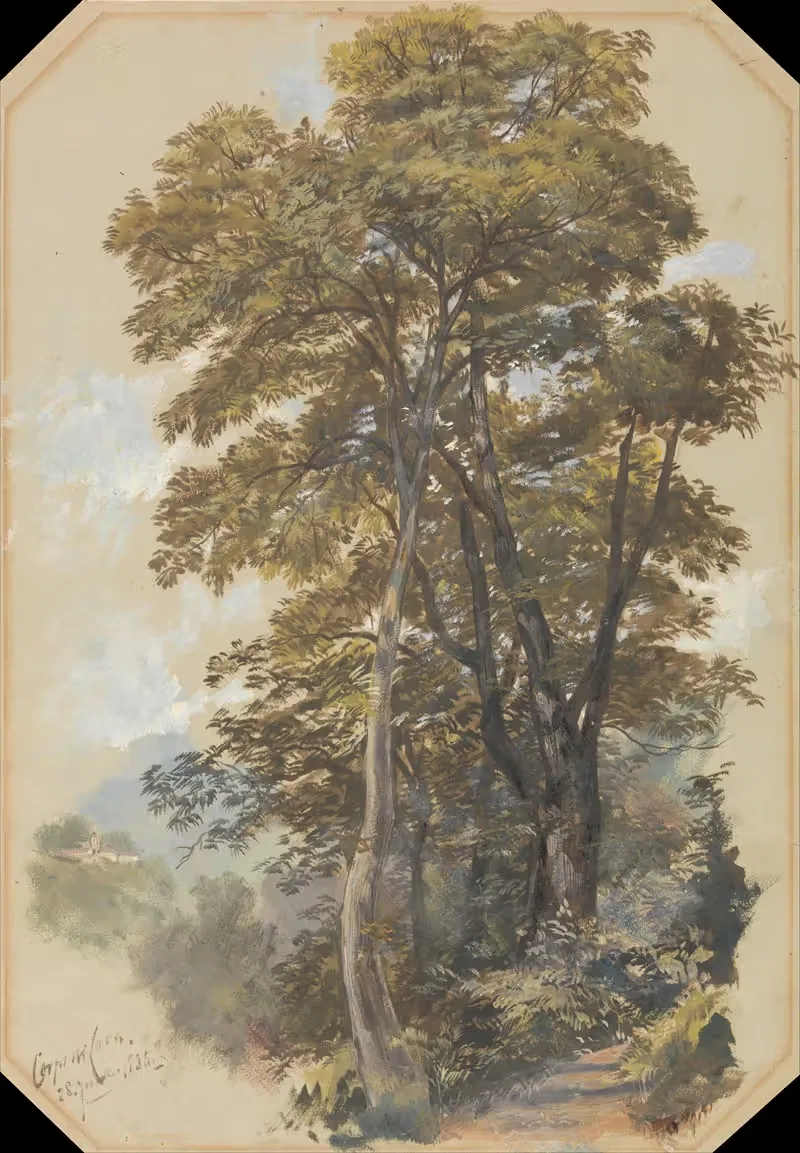 Corpo di Cava, 28 June 1838 — Edward Lear