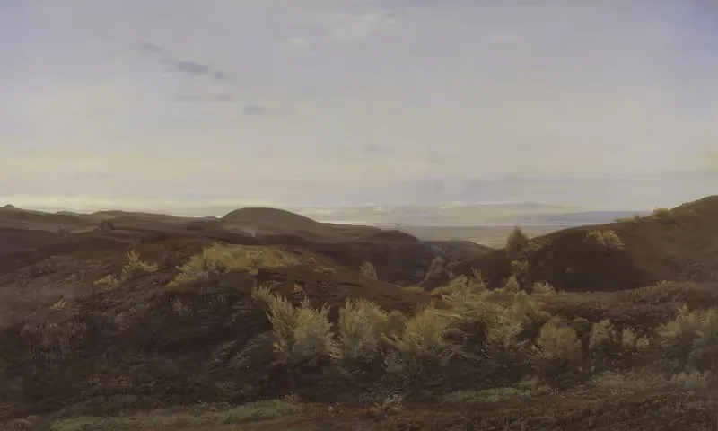 Heather Hills near Rye, Jutland — Harald Foss