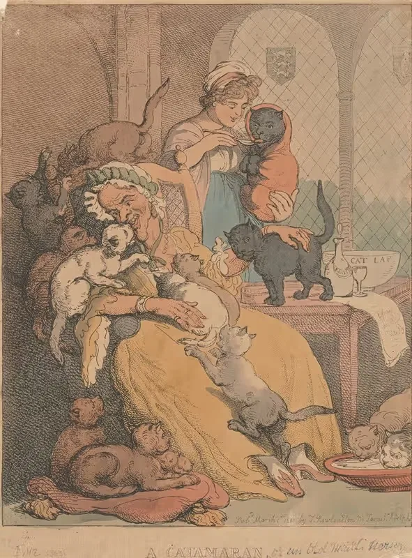 A catamaran; Or an old maid's nursery — Thomas Rowlandson