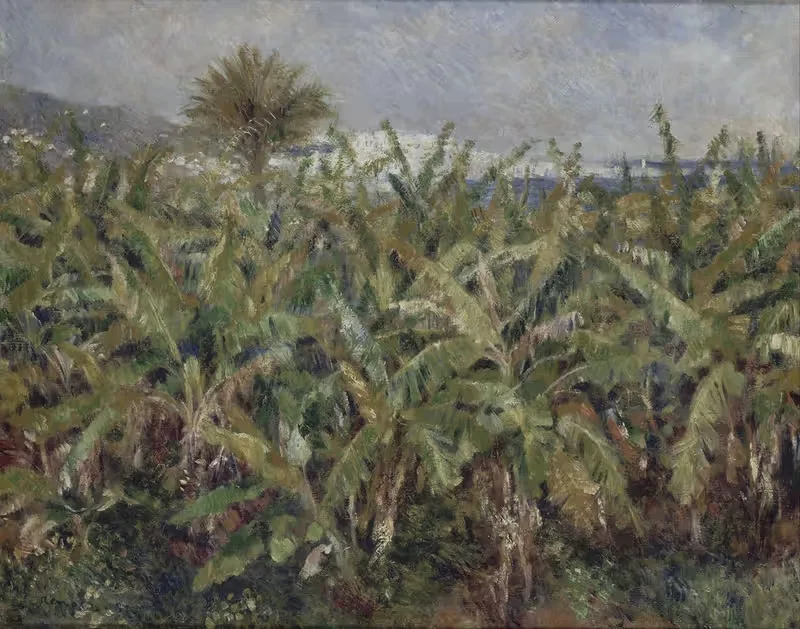 Field of Banana Trees — Pierre-Auguste Renoir