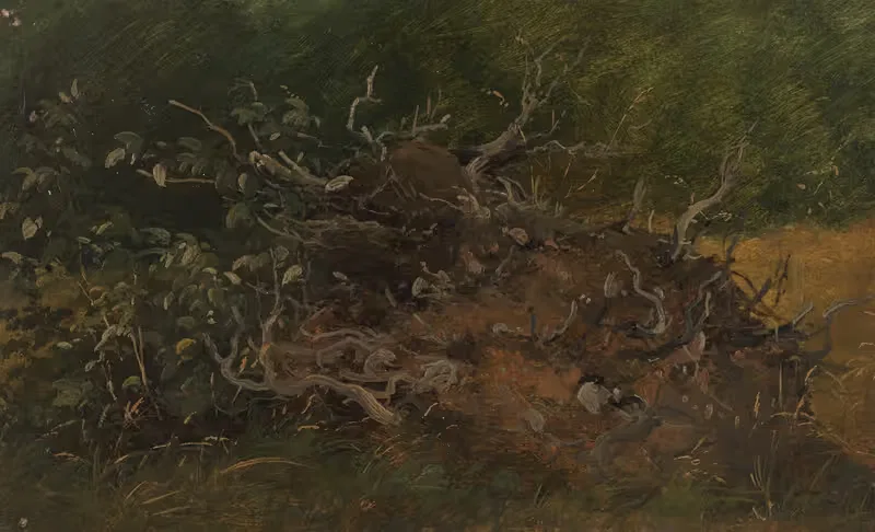 Этюд пенька дерева by Вильгельм Петерсен, 1843 – 1847 — digital art print download