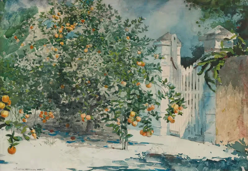 Orange Trees And Gate by Winslow Homer, 1885 — digital art print download