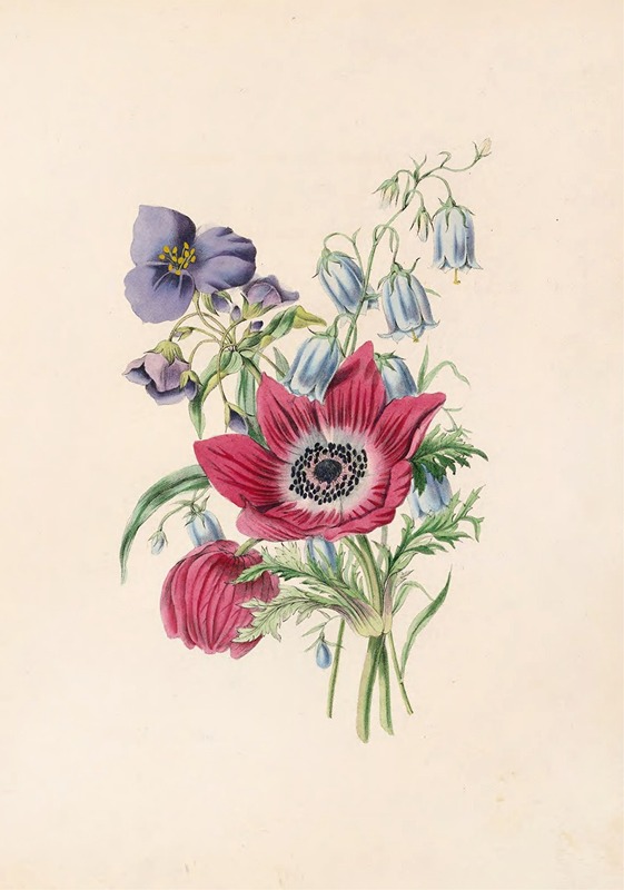 Anemone,Harebell,Spiderwort by Джеймс Акерман, 1847 — digital art print download