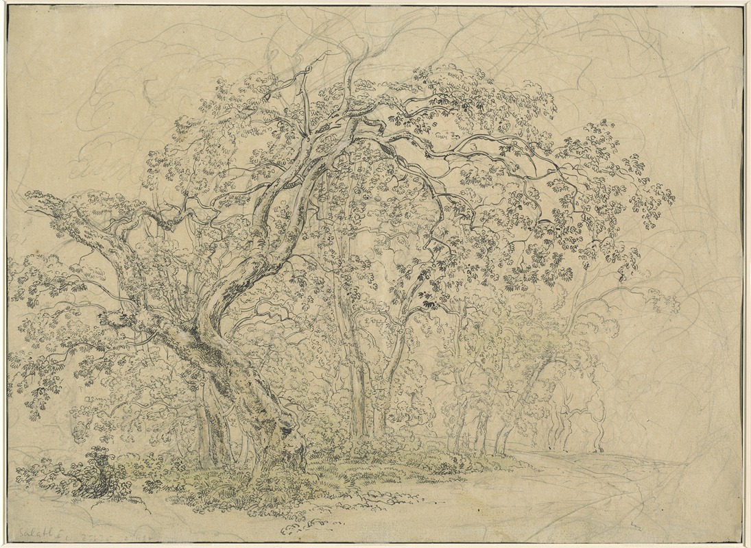 Grove of Trees (verso) — Фридрих Салатэ