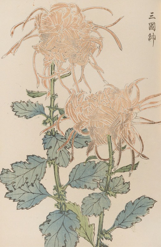 Keika hyakugiku, Pl.02 by Keika Hasegawa, 1893 — digital art print download