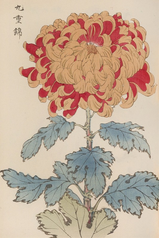 Keika hyakugiku, Pl.05 by Keika Hasegawa, 1893 — digital art print download