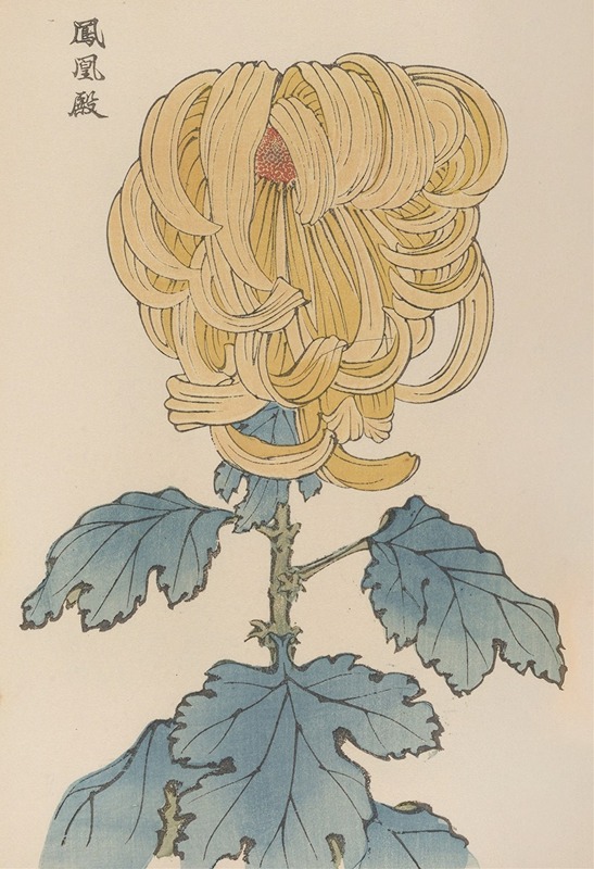 Keika hyakugiku, Pl.07 by Keika Hasegawa, 1893 — digital art print download